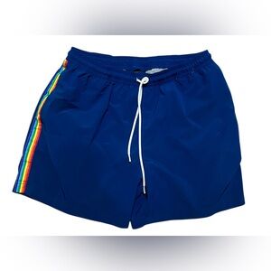 Chubbies "The Sherberts" swim shorts in blue with a rainbow side stripe L